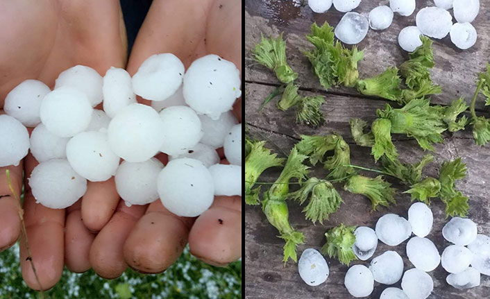 Ordu’ya ceviz büyüklüğünde dolu yağdı