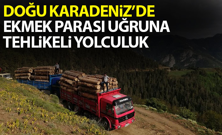 Doğu Karadeniz'de ekmek parası uğruna tehlikeli yolculuk