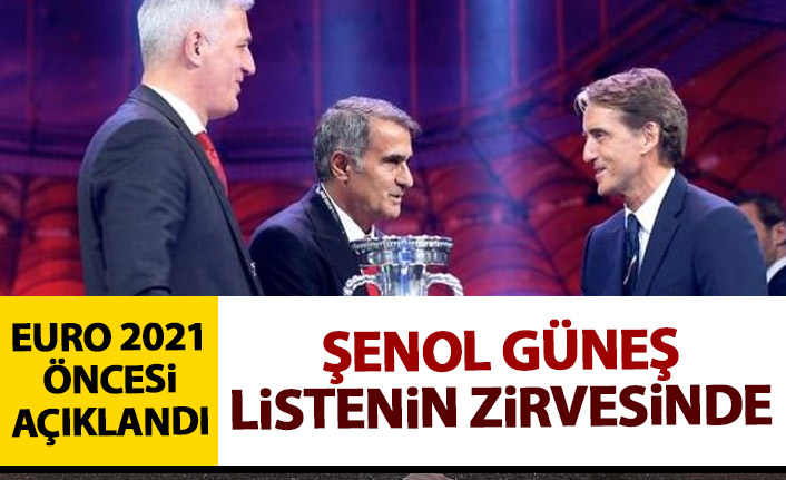 EURO 2021 öncesi liste açıklandı! Şenol Güneş ilk sırada