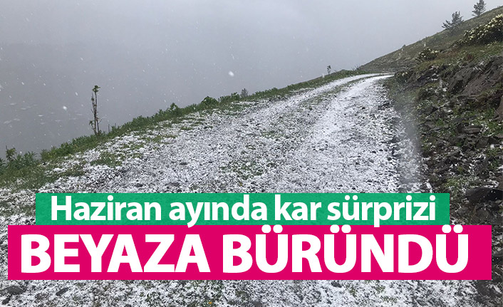 Doğu Karadeniz'de Haziran ayında kar manzarası