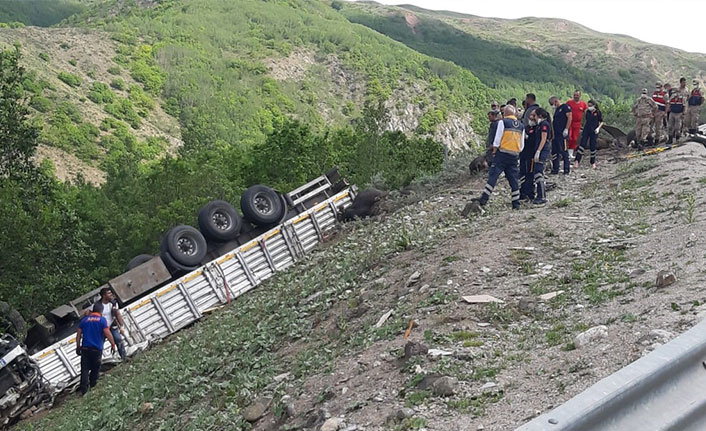 Kurbanlıkları taşıyan TIR devrildi: sürücü ve 17 hayvan öldü