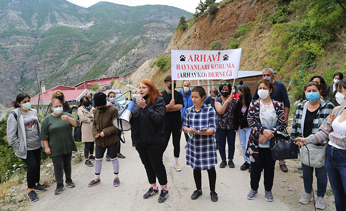 Artvin'de hayvan severler sokak hayvanları için toplandı