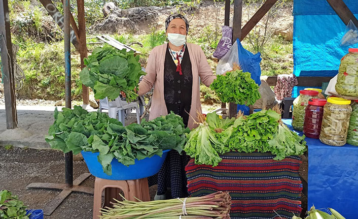 Yaylada yöresel organik pazar açıldı