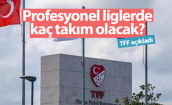 Profesyonel liglerde kaç takım olacak? TFF açıkladı