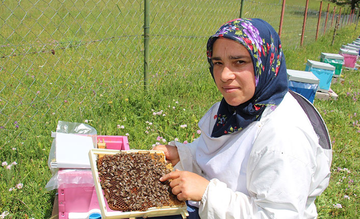 Artvin'de arıcılık yaparak kızlarını okutuyor