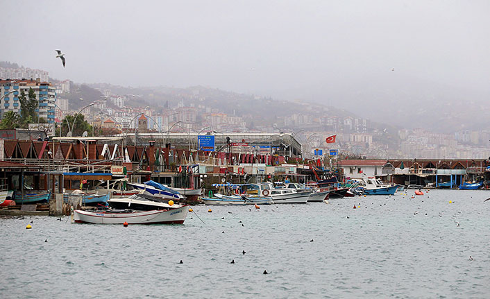 Karadeniz için müsilaj tehdidine dikkat çekti! O balıklar için uyardı