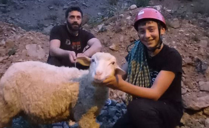 Dedesinin koyunu mahsur kalınca dağcı torunu seferber oldu