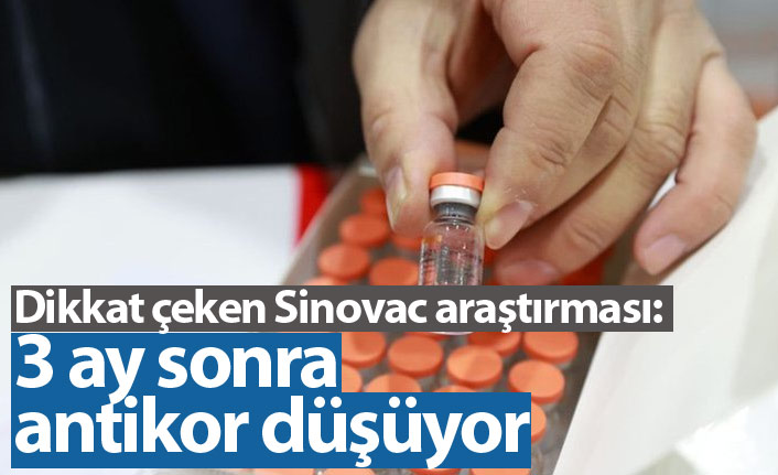 Dikkat çeken Sinovac aratırması: 3 ay sonra antikor düşüyor