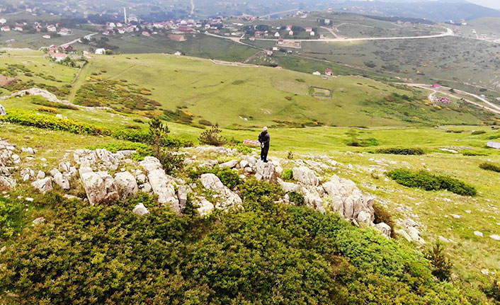 Ordu'da yayla güzelliği