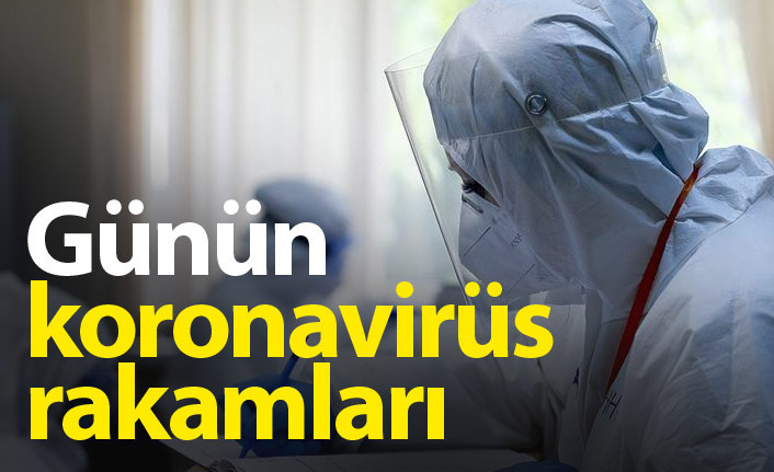 Türkiye'nin koronavirüs raporu - 02.07.2021