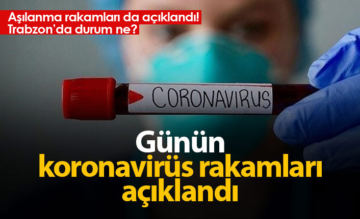 Türkiye'de günün koronavirüs raporu 04.07.2021