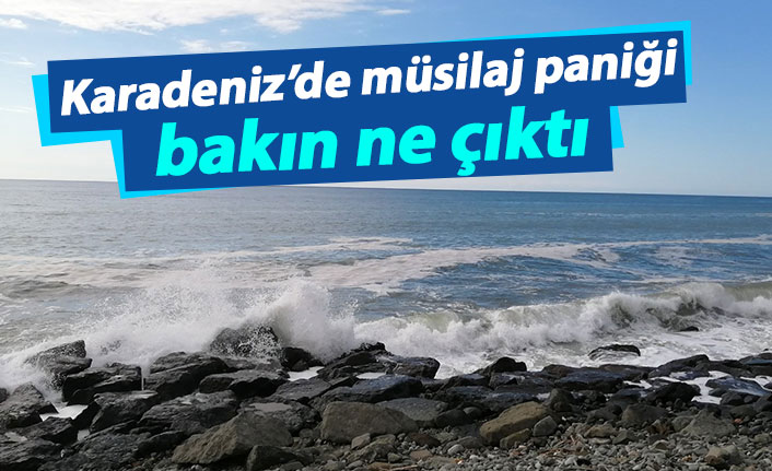 Karadeniz'de müsilaj paniği! Bakın ne çıktı