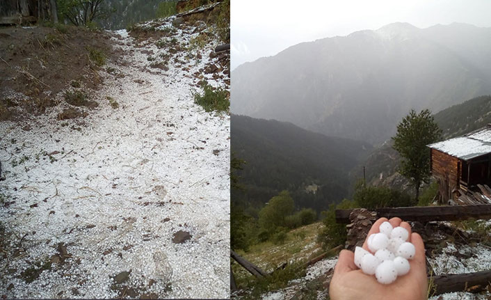 Artvin’de dolu yağışı etkili oldu