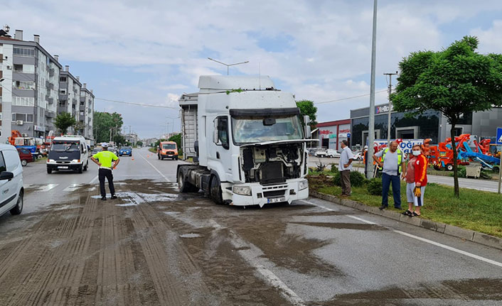 Samsun'da köpeğe çarpmamak için manevra yapan tır refüje çıktı