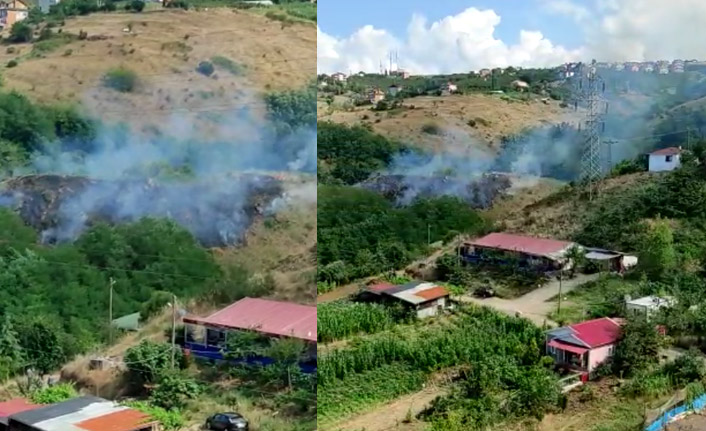 Trabzon’da yangın! Çalılık alan kül oldu