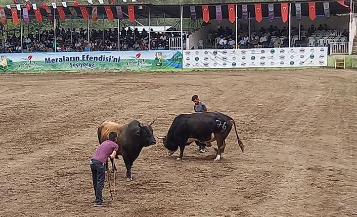 Artvin'de bu arena son kez güreşlere sahne oldu