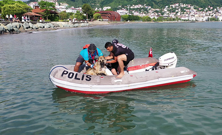 Ordu'da Triatlon yarışmasında ilginç olay