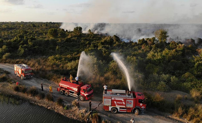 Samsun'da orman yangınlarının bilançosu açıklandı