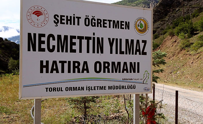 Şehit öğretmen için memleketi Gümüşhane'de hatıra ormanı yapıldı