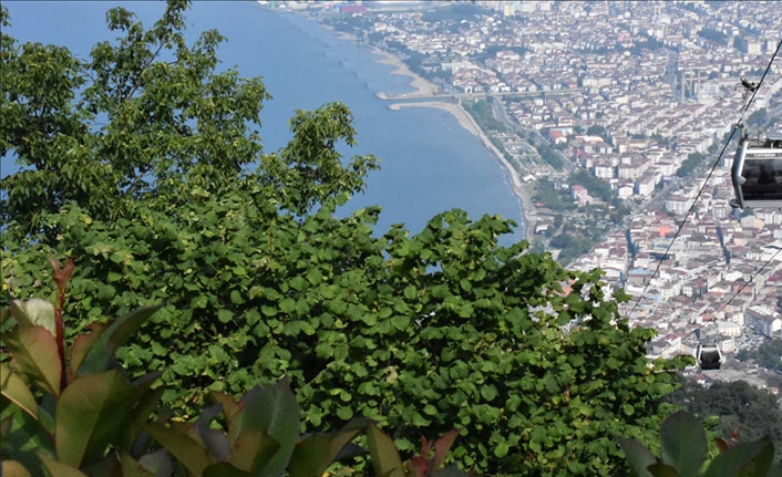 Boztepe'ye ziyaretçi akını