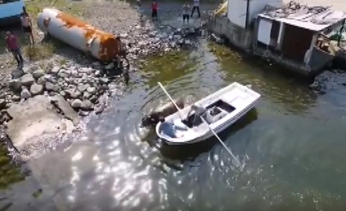 Rize'de kurbanlık boğa kaçarak kendini denize attı