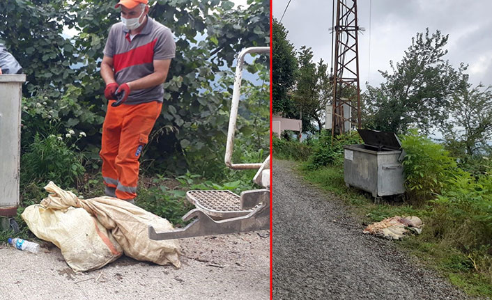 Bulaşıcı hastalığı önlemek için 'sakatatlar toprağa gömülmeli' uyarısı