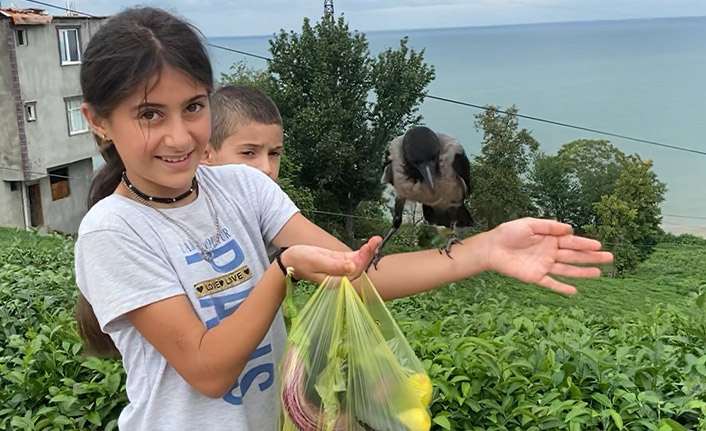 Rize'de küçük kız ile karganın dostuluğu