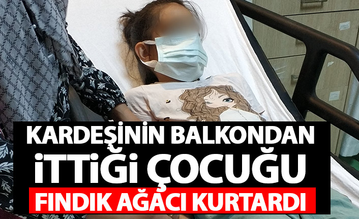 Kardeşinin balkondan ittiği çocuğu fındık ağacı kurtardı