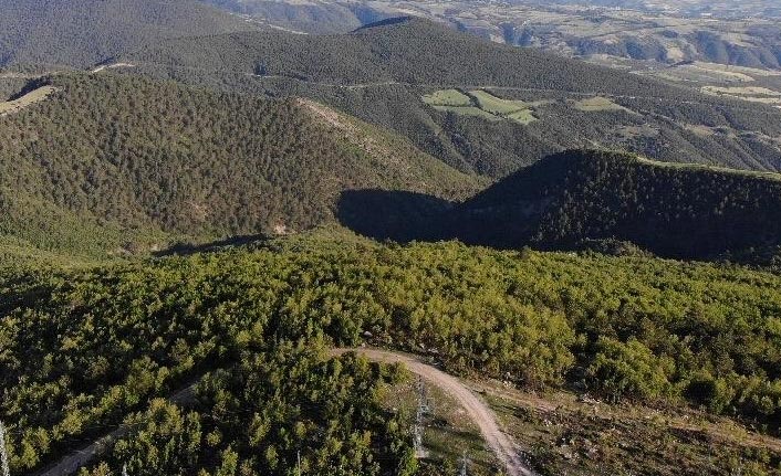 Samsun'da ateşli pikniğe yasak geldi