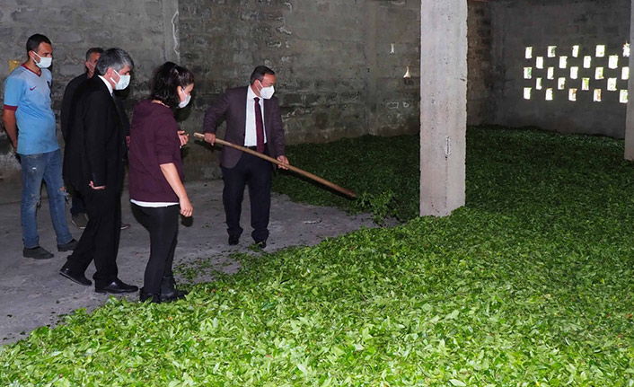 ÇAYKUR, rekor yılını yaşıyor