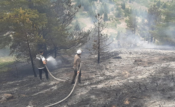 Giresun'da ormanlık alanda çıkan yangın söndürüldü