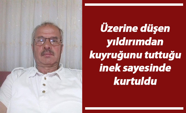 Üzerine düşen yıldırımdan kuyruğunu tuttuğu inek sayesinde kurtuldu