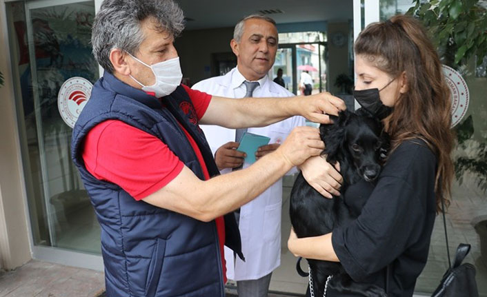 Kedi, köpek ve gelincikler kimliklendiriliyor