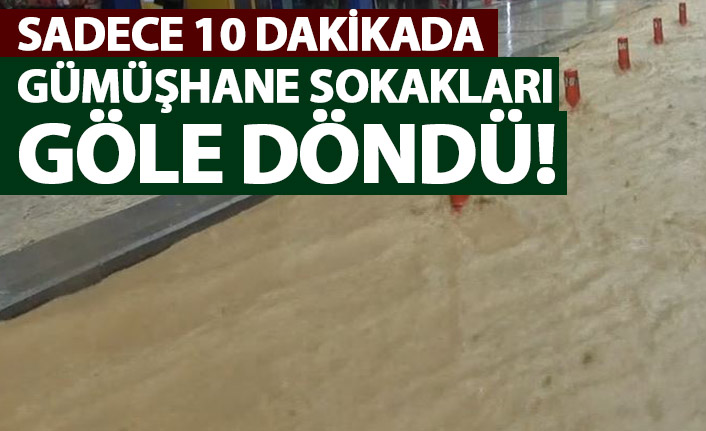 Gümüşhane'de 10 dakika yağan yağmur hayatı olumsuz etkiledi