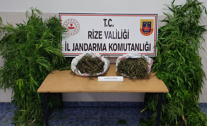 Rize'de uyuşturucu operasyonu: 1 gözaltı