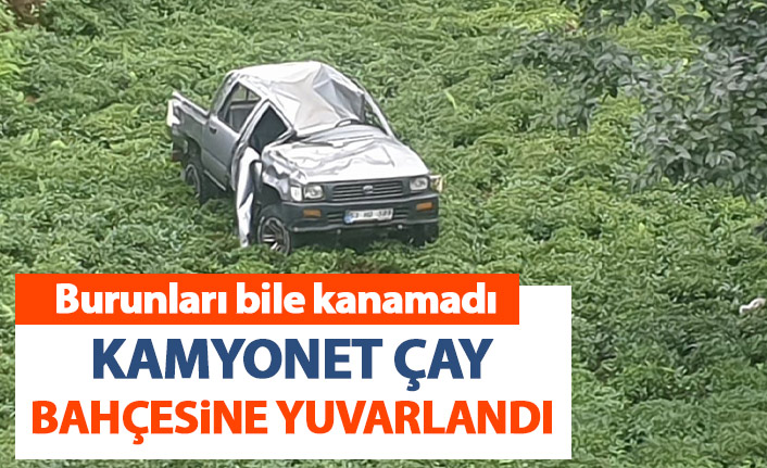 Rize'de kamyonet çay bahçesine yuvarlandı