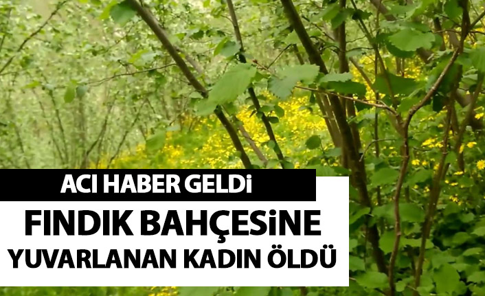 Fındık bahçesine yuvarlanan kadından acı haber geldi