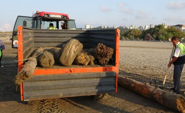 200 km sürüklenen tomruklar Samsun sahillerinde