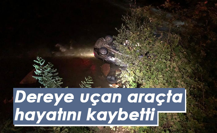 Dereye uçan araçta hayatını kaybetti