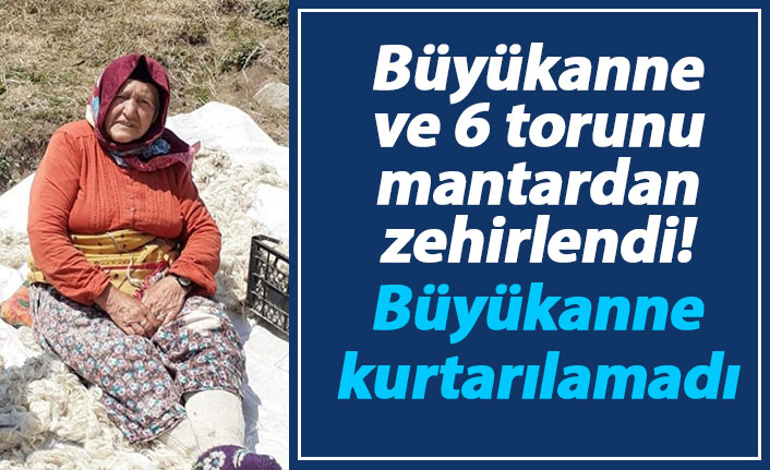 Büyükanne ve 6 torunu mantardan zehirlendi, büyükanne kurtarılamadı