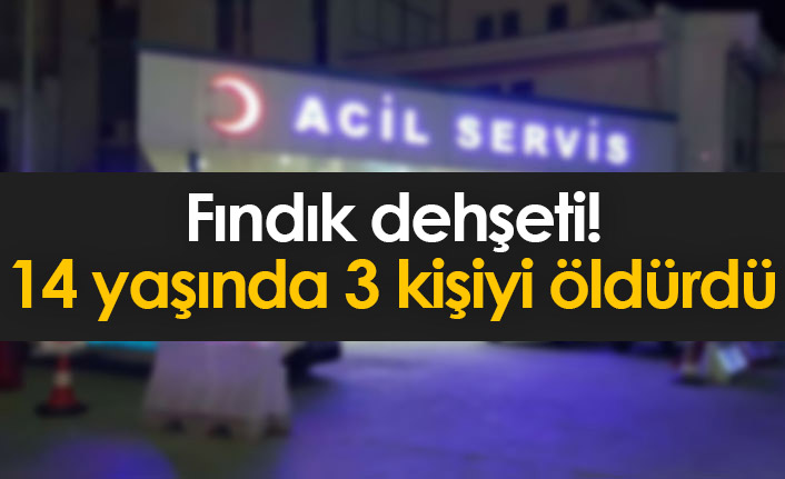 Fındık dehşeti! 14 yaşındaki çocuk ailesini katletti: 3 ölü, 1 yaralı