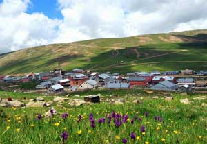 Gümüşhane'de 383 yayla var