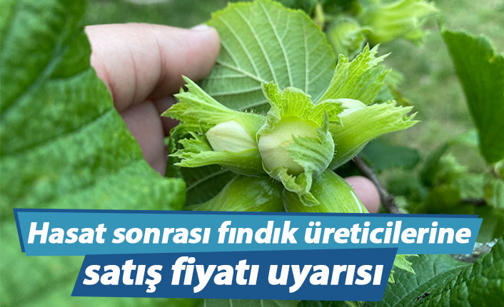 Hasat sonrası fındık üreticilerine satış uyarısı