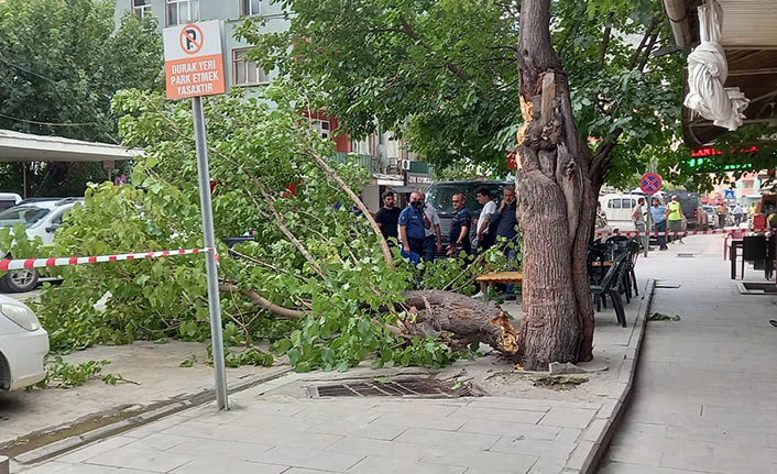 Artvin’de şiddetli rüzgar etkili oldu