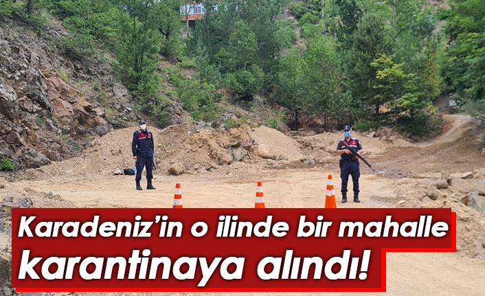 Karadeniz'in o ilinde bir mahalle karantinaya alındı!