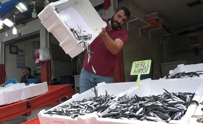 Giresun'da balıkçıların hamsi endişesi