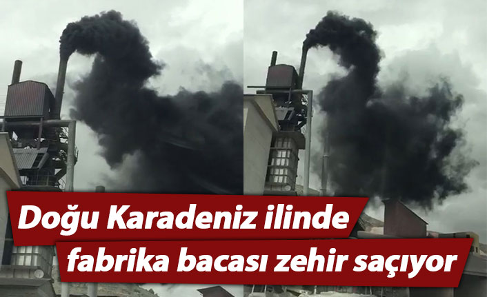 Doğu Karadeniz ilinde fabrika bacası zehir saçıyor