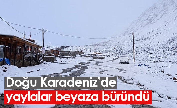 Doğu Karadeniz'de yaylalar karla kaplandı