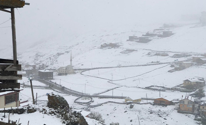 Rize’nin yüksek kesimlerine kar düştü