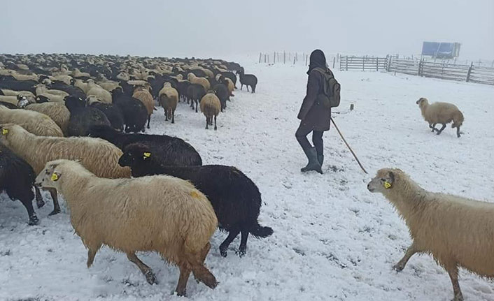 Karadeniz'de yağan kar besicileri zora soktu